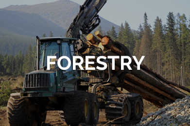 Forestry